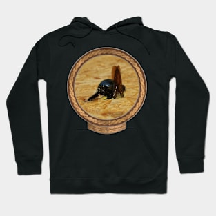 Carpenter Bee Burrowed Hoodie